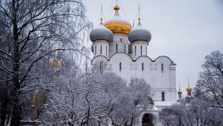 Του έκαναν εντύπωση οι πολικές θερμοκρασίες στη Μόσχα (pics)