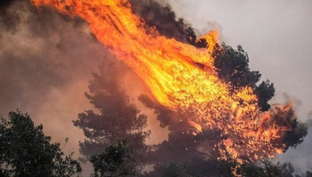 Καίγεται δασική έκταση στην Ηλεία