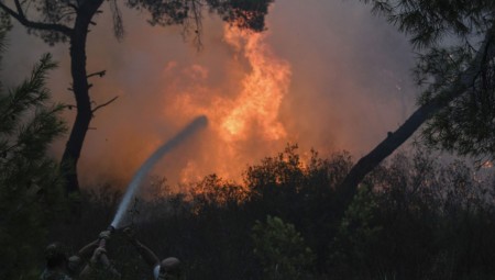 Σκληρή μάχη με τις φλόγες στην Εύβοια