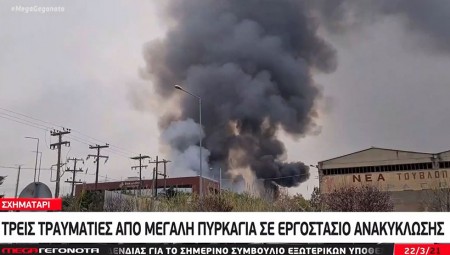 Μεγάλη φωτιά σε εργοστάσιο ανακύκλωσης στο Σχηματάρι (video)