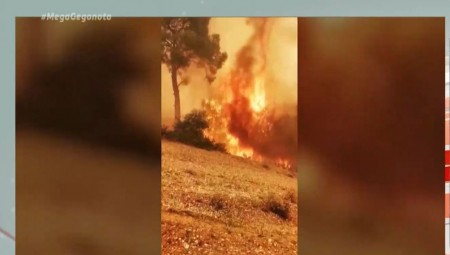 Πυρκαγιά Κορινθία: Καταστράφηκαν σπίτια (video)