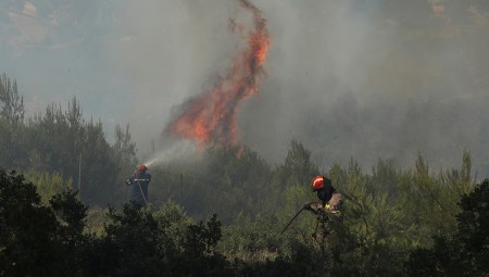 Πυρκαγιά σε δασική έκταση στον Βαρνάβα