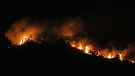 Νέα φωτιά στην Ηλεία, καίει δασική έκταση στον Πύργο!