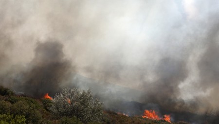 «Συναγερμός» στην Πυροσβεστική, φωτιά στην Κεφαλονιά!