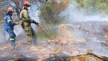 Μεγάλη η πυρκαγιά στον Έβρο, κατευθύνεται προς τη Δαδιά!