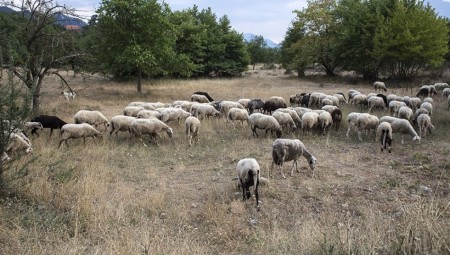 Να χαμογελάτε εσείς μεταξύ σας που είστε σύμμαχοι «εξυγιαντές»