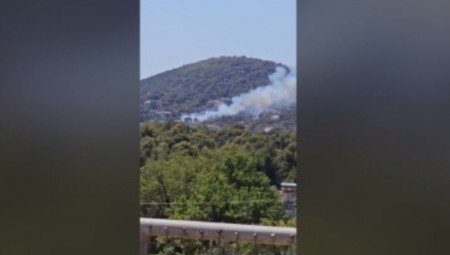 Λούτσα: Η πρώτη πυρκαγιά του καλοκαιριού – Φωτιά κοντά σε οικισμό (video)
