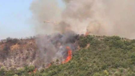 Χωρίς ενεργά μέτωπα οι πυρκαγιές στην Ηλεία (video)