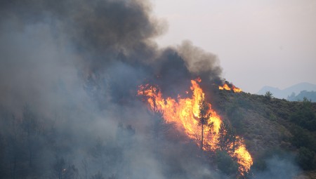 Συναγερμός: Η φωτιά μπήκε στην Ιπποκράτειο Πολιτεία - Εφιαλτικές εικόνες