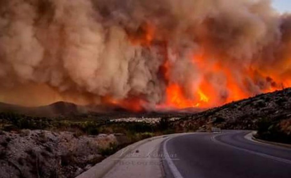 «Κόλαση» στη Χίο - Καταστράφηκε το 90% των μαστιχόδεντρων από την πυρκαγιά