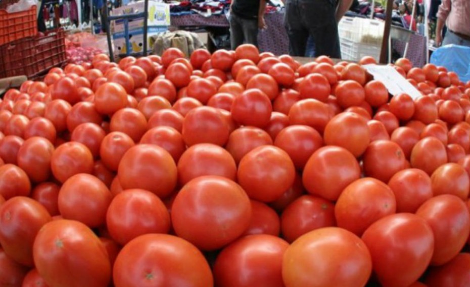 Κατασχέθηκαν 441 κιλά με ντομάτες Αλβανίας