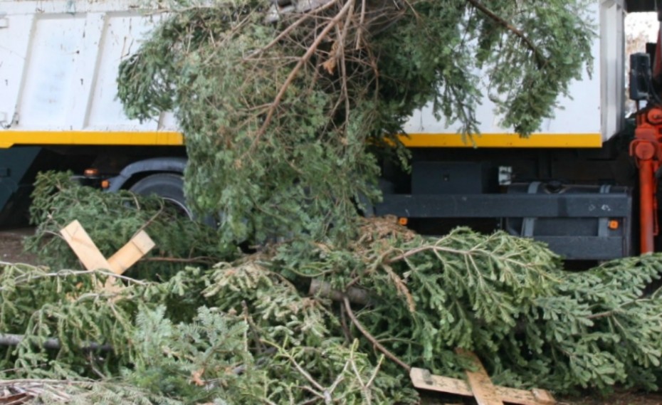 Ανακύκλωση φυσικών Χριστουγεννιάτικων δέντρων από τον Δήμο Πειραιά!