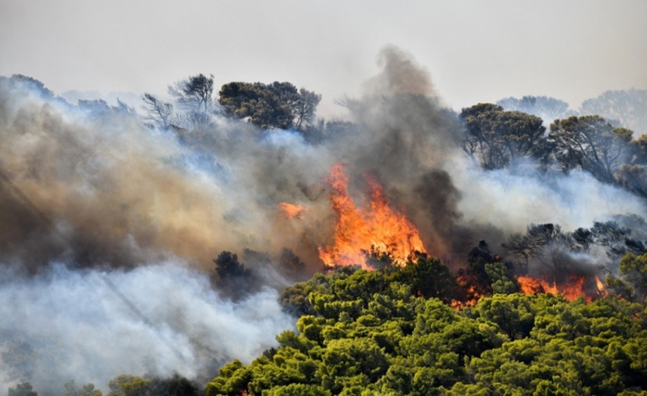 Συγκλόνισε η Πειραιώτισσα που έδωσε μάχη με τις φλόγες στην Ανάβυσσο (video)