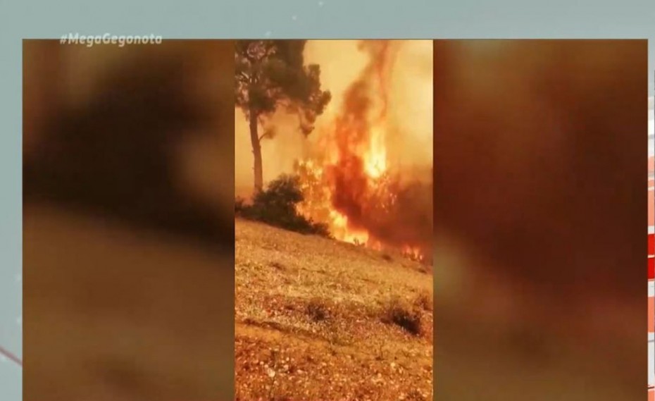 Πυρκαγιά Κορινθία: Καταστράφηκαν σπίτια (video)