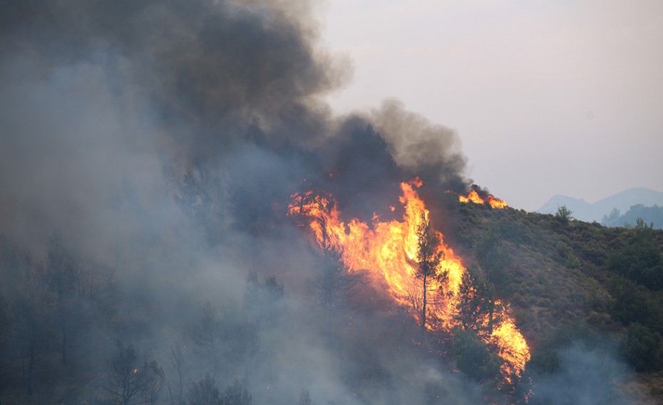 Συναγερμός: Η φωτιά μπήκε στην Ιπποκράτειο Πολιτεία - Εφιαλτικές εικόνες
