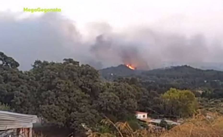 Μεγάλη πυρκαγιά στη Ρόδο (video)